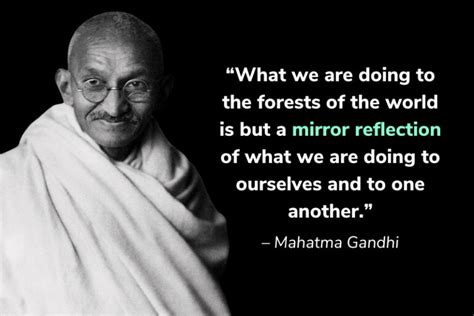 64 Best Quotes About Sustainability (Including Inspiring, Funny.